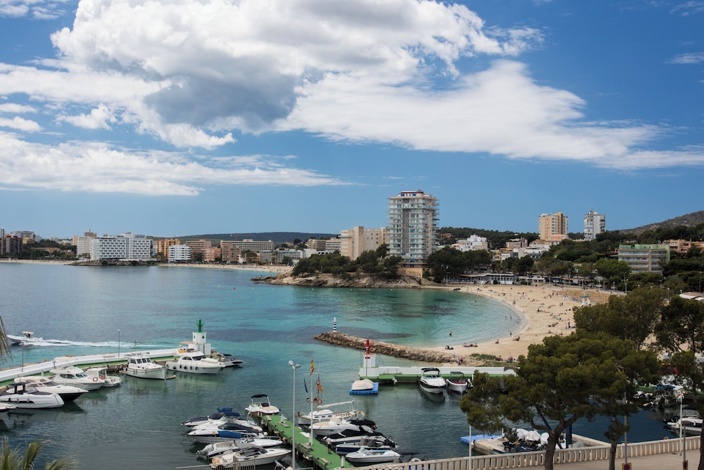 Suites ROC Portonova - Newly Renovated 2026 — Attractions in the area in Palma Nova, Balearic Islands