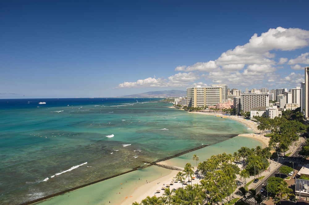 The Twin Fin Hotel — Attractions in the area in Honolulu, Hawaii