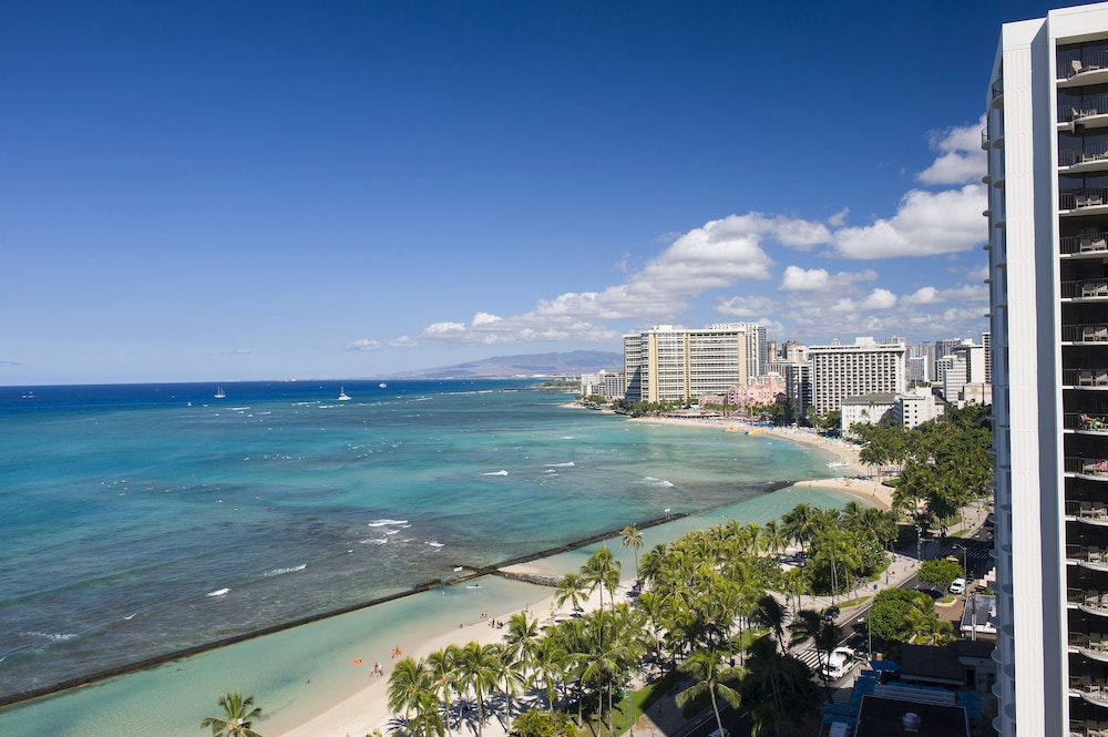 The Twin Fin Hotel — Attractions in the area in Honolulu, Hawaii