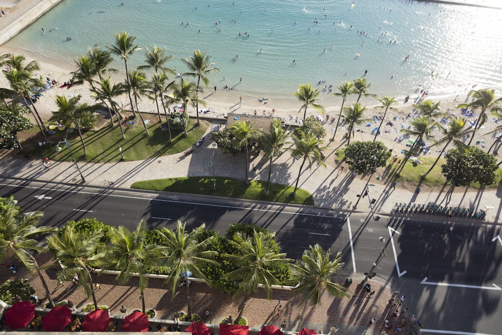 The Twin Fin Hotel — Attractions in the area in Honolulu, Hawaii