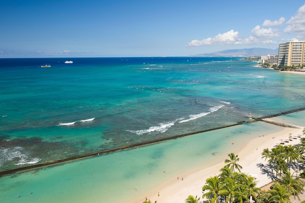 The Twin Fin Hotel — Beach in Honolulu, Hawaii