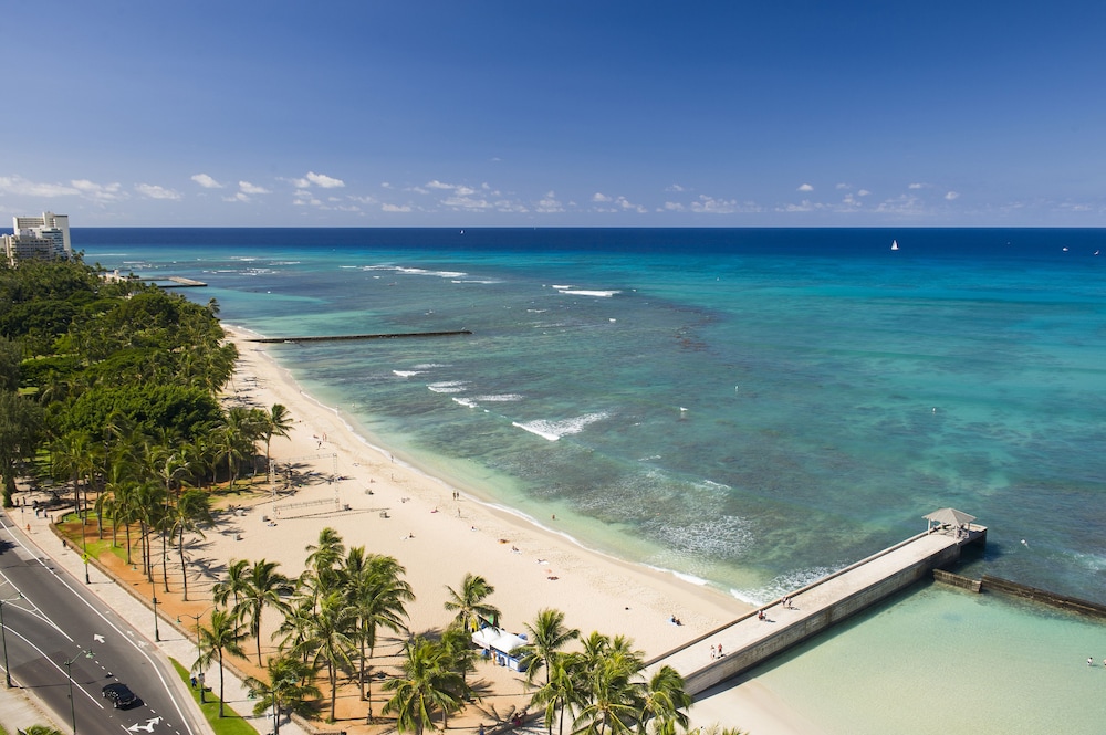 The Twin Fin Hotel — Beach in Honolulu, Hawaii