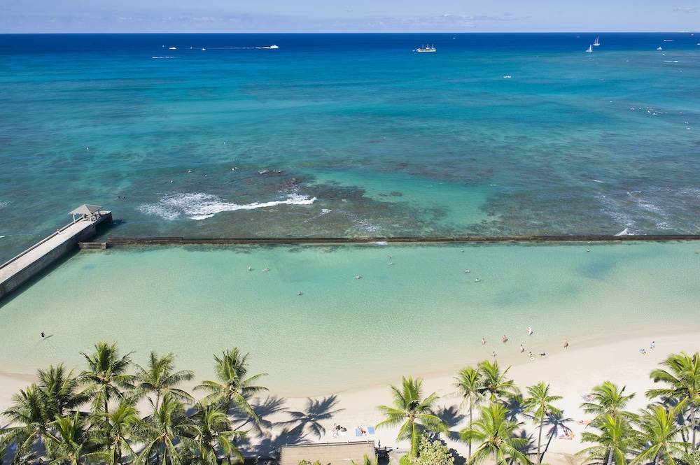 The Twin Fin Hotel — Beach in Honolulu, Hawaii