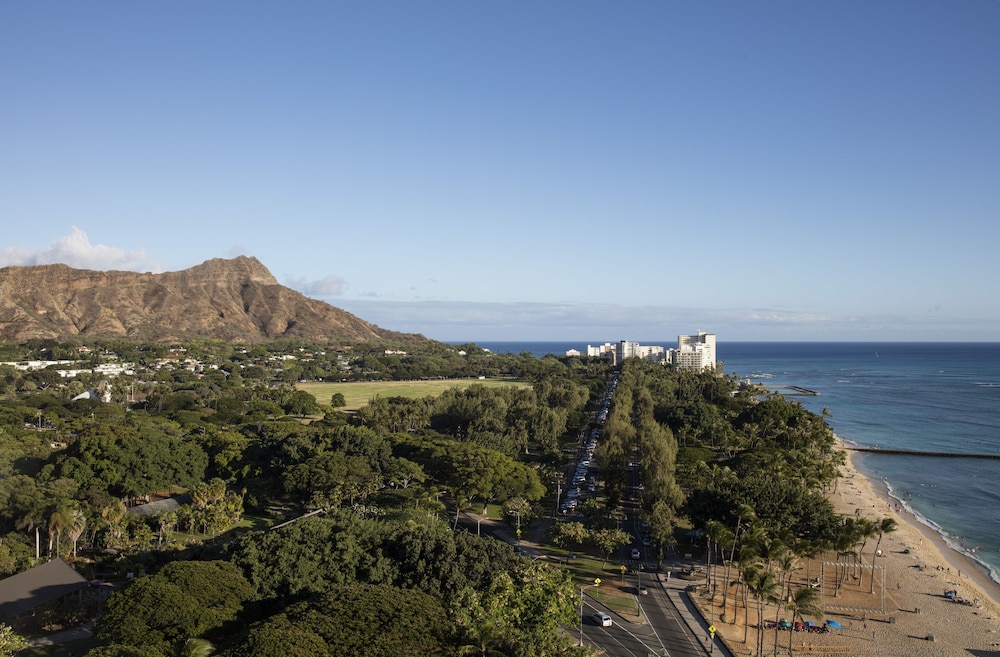 The Twin Fin Hotel — Attractions in the area in Honolulu, Hawaii