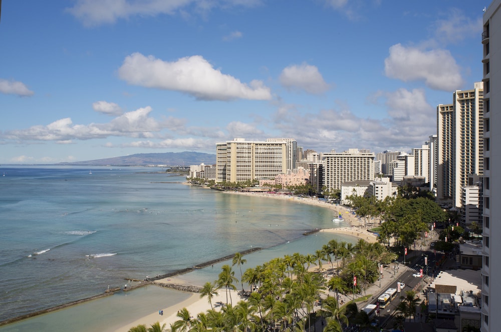 The Twin Fin Hotel — Attractions in the area in Honolulu, Hawaii