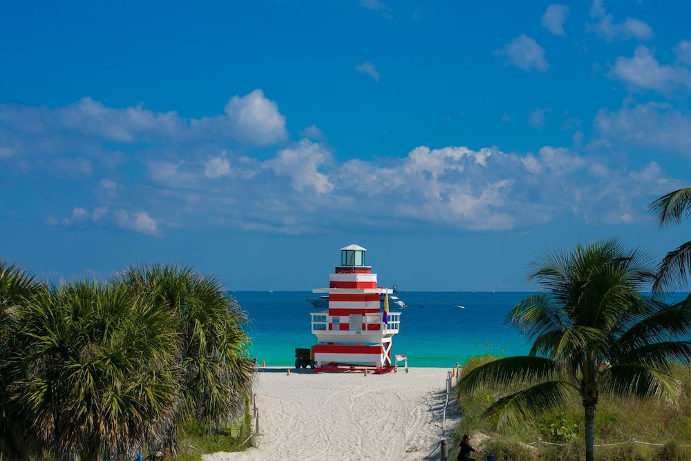 Zdjęcie 3