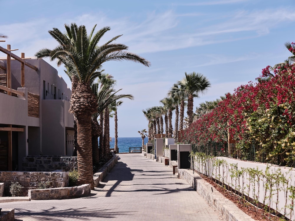 Stella Blue Seaside Resort - All inclusive — Outdoor in Aposelemis