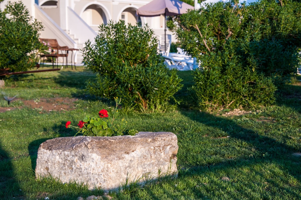 Klelia Beach Hotel - All Inclusive — Hotel building in Kalamaki (Zakynthos), Ionian Islands