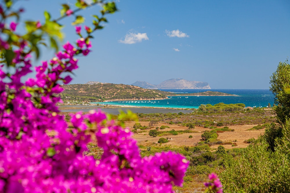Residence Hotel Lu Nibareddu — Attractions in the area in Loiri Porto San Paolo, Sardinia