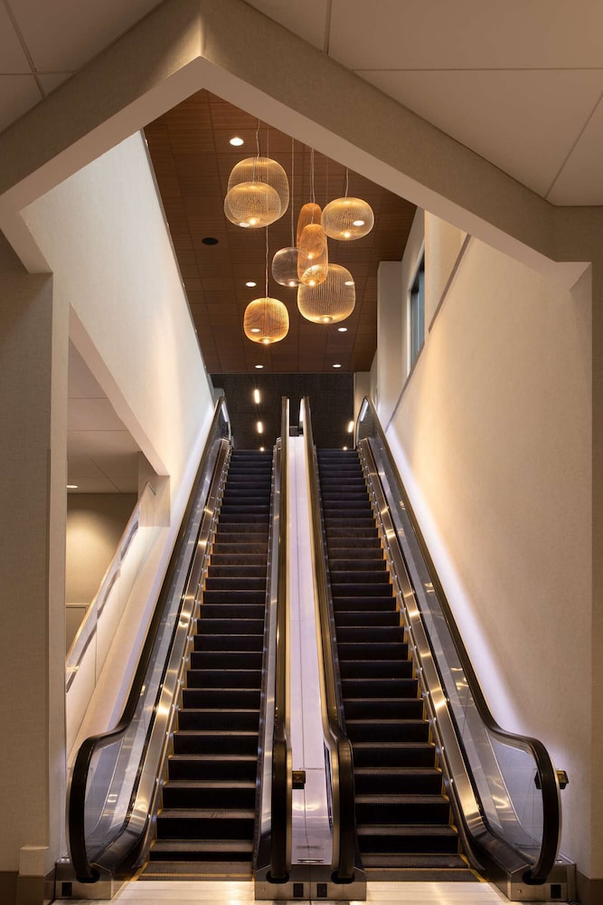 Hilton Orlando Buena Vista Palace - Disney Springs® Area — Hotel building in Lake Buena Vista, Florida