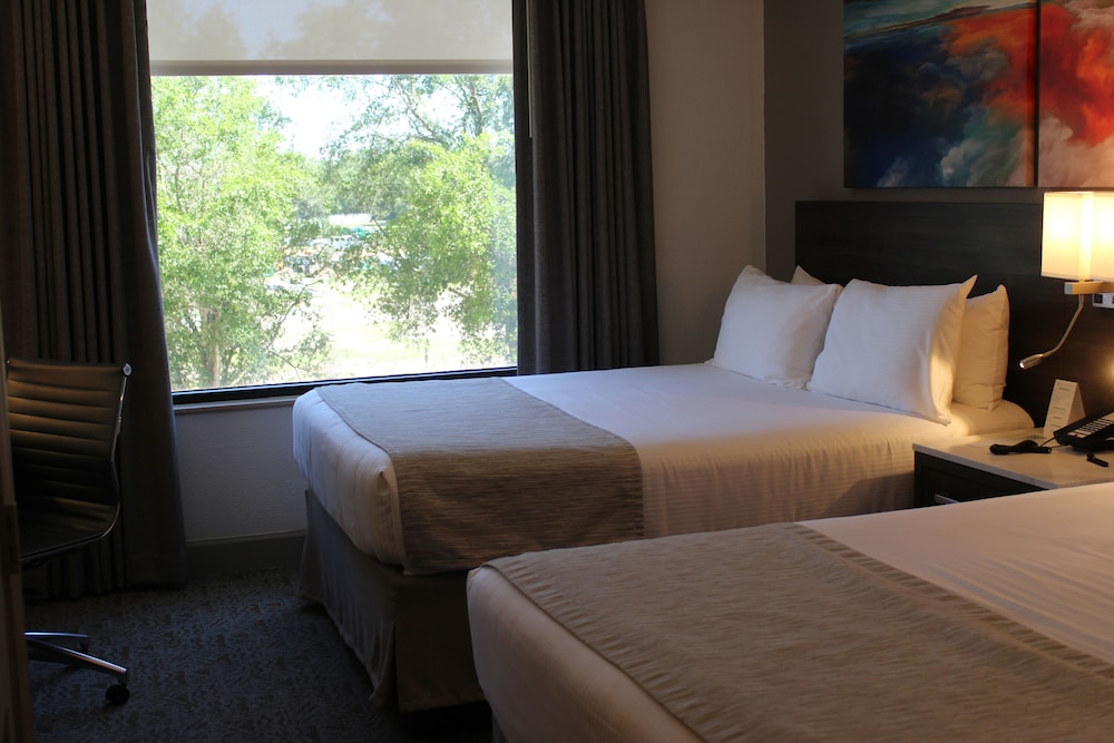 Buena Vista Suites Orlando — Hotel rooms in Orlando, Florida