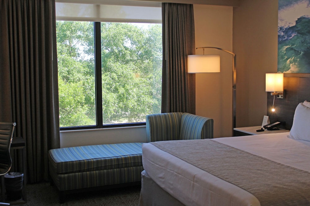 Buena Vista Suites Orlando — Hotel rooms in Orlando, Florida