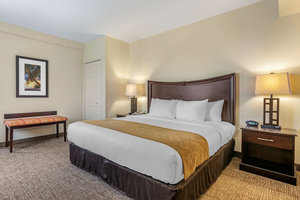 Comfort Suites Maingate East — Hotel rooms in Kissimmee, Florida