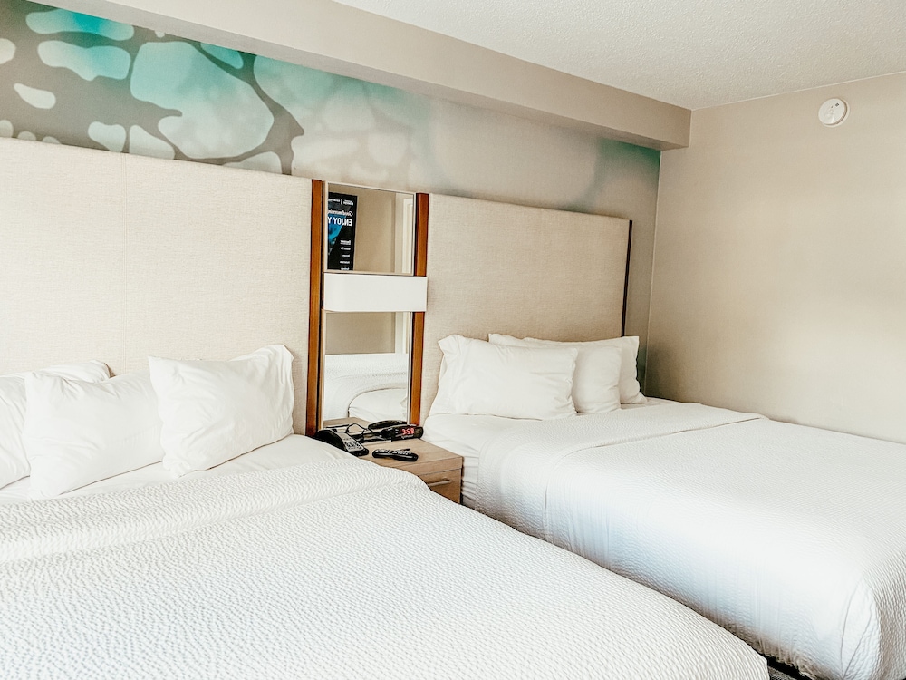 Courtyard by Marriott Lake Buena Vista at Vista Centre — Hotel rooms in Orlando, Florida