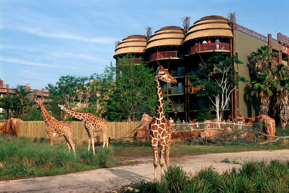 Disney's Animal Kingdom Villas - Kidani Village — Attractions in the area in Kissimmee, Florida