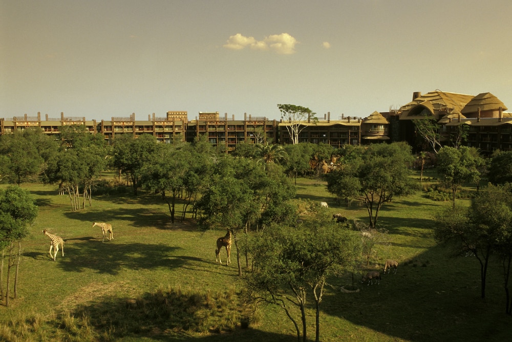 Disney's Animal Kingdom Villas - Kidani Village — Hotel building in Kissimmee, Florida
