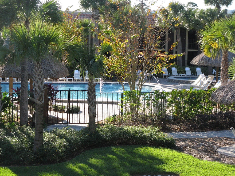 DoubleTree by Hilton Orlando Theme Park Resort — Swimming pool in Orlando, Florida