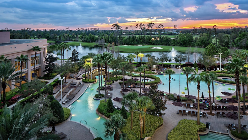 Signia by Hilton Orlando - An Official Walt Disney World® Hotel — Swimming pool in Orlando, Florida