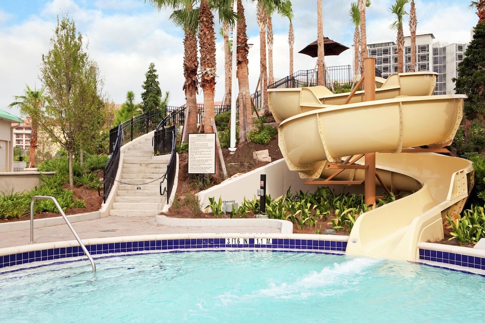 Signia by Hilton Orlando - An Official Walt Disney World® Hotel — Swimming pool in Orlando, Florida