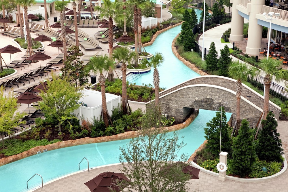 Signia by Hilton Orlando - An Official Walt Disney World® Hotel — Swimming pool in Orlando, Florida