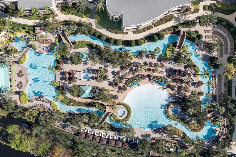 Signia by Hilton Orlando - An Official Walt Disney World® Hotel — Swimming pool in Orlando, Florida
