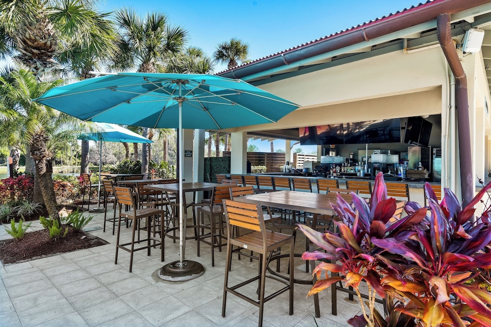 Hyatt Regency Grand Cypress — Restaurant & bars in Orlando, Florida