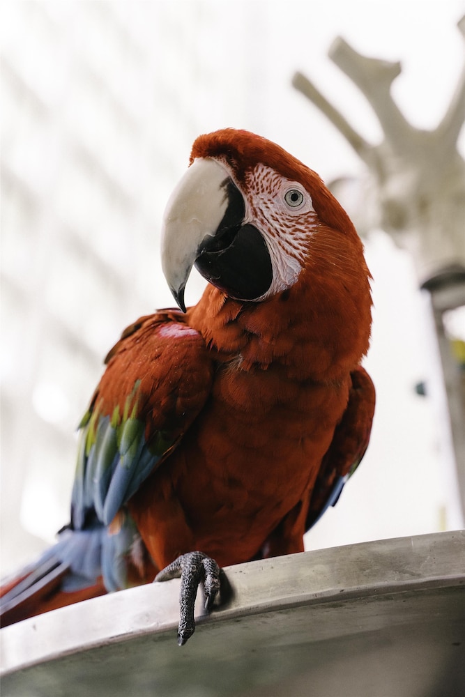 Hyatt Regency Grand Cypress — Attractions in the area in Orlando, Florida