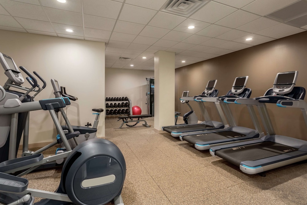 Embassy Suites by Hilton Orlando International Drive ICON Park — Sports & recreation in Orlando, Florida