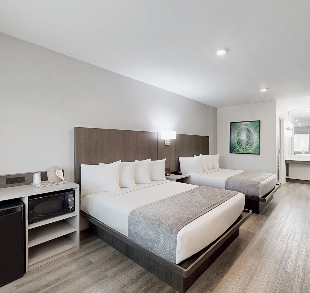 Avanti International Resort — Hotel rooms in Orlando, Florida