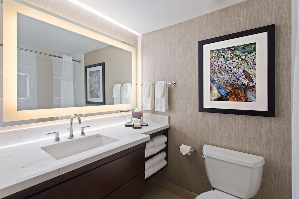 Embassy Suites by Hilton Orlando International Dr Conv Ctr — Hotel rooms in Orlando, Florida