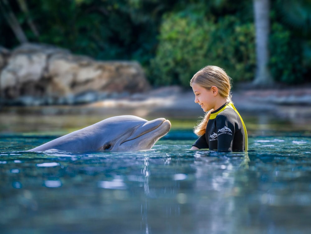 Four Points by Sheraton Orlando International Drive — Attractions for children in Orlando, Florida