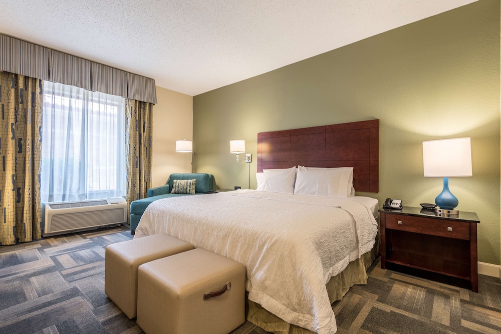 Hampton Inn & Suites Orlando-South Lake Buena Vista — Hotel rooms in Kissimmee, Florida