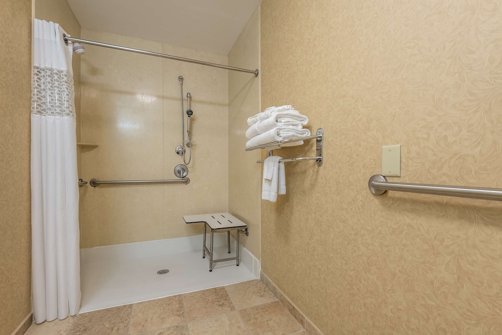 Hampton Inn & Suites Orlando-South Lake Buena Vista — Hotel rooms in Kissimmee, Florida