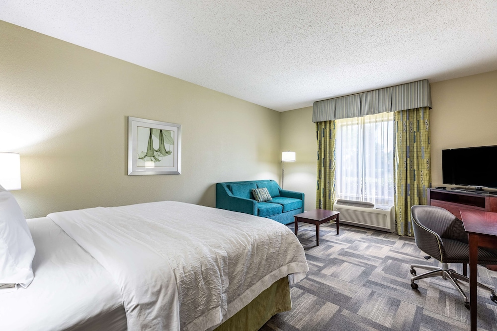 Hampton Inn & Suites Orlando-South Lake Buena Vista — Hotel rooms in Kissimmee, Florida