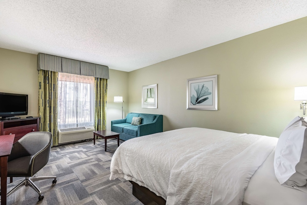 Hampton Inn & Suites Orlando-South Lake Buena Vista — Hotel rooms in Kissimmee, Florida