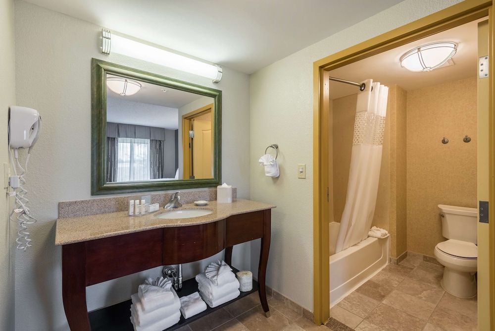 Hampton Inn & Suites Orlando-South Lake Buena Vista — Hotel rooms in Kissimmee, Florida