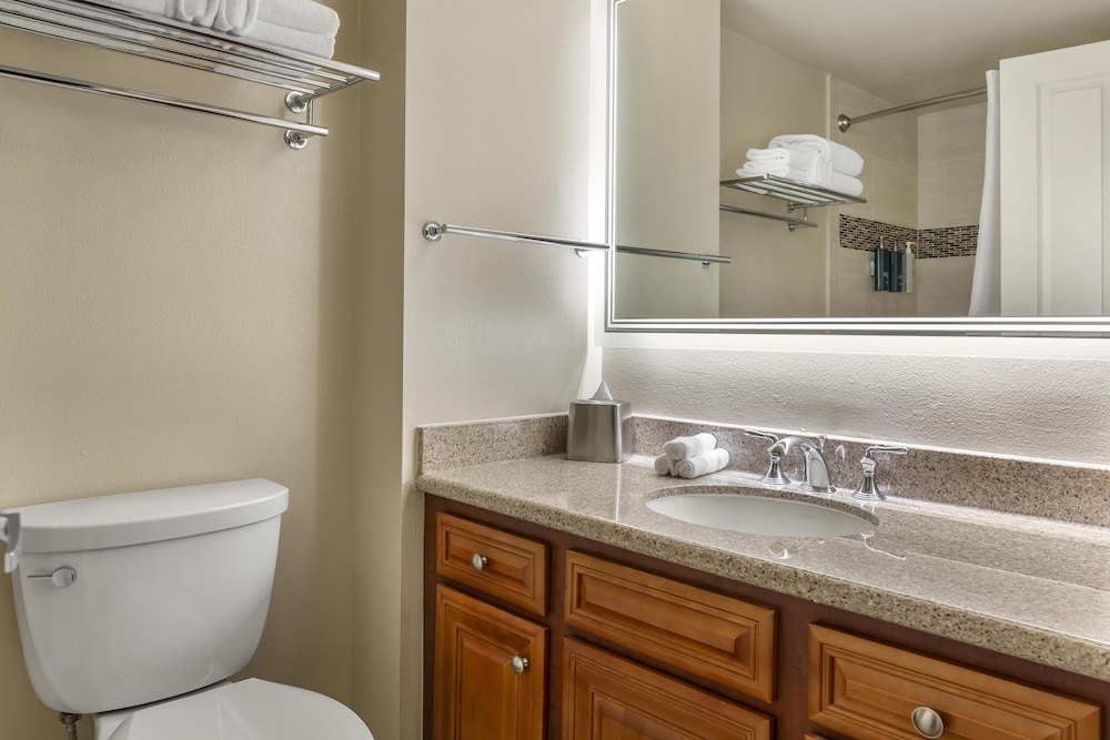 Hilton Grand Vacations Club SeaWorld® Orlando — Hotel rooms in Orlando, Florida