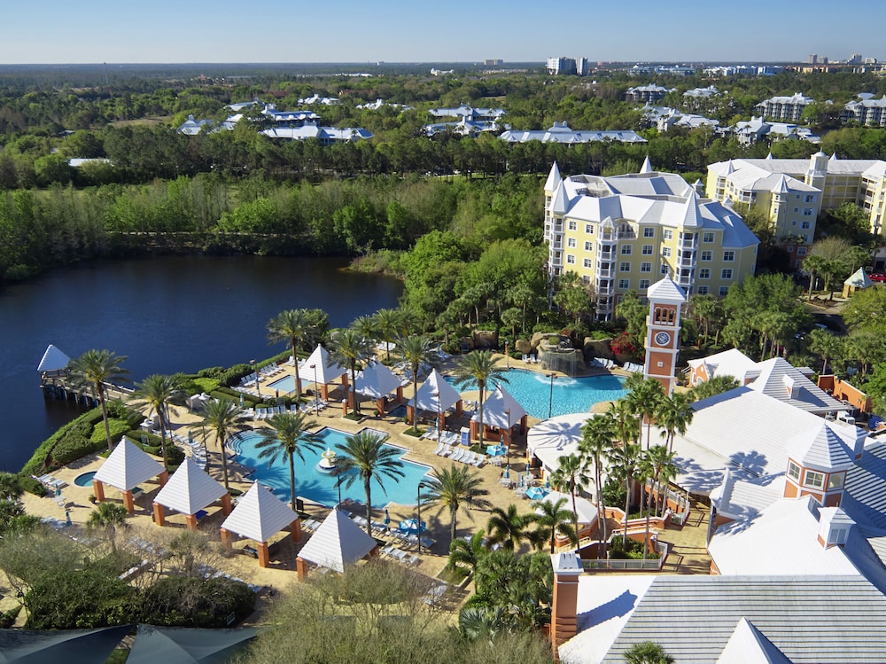 Hilton Grand Vacations Club SeaWorld® Orlando — Swimming pool in Orlando, Florida