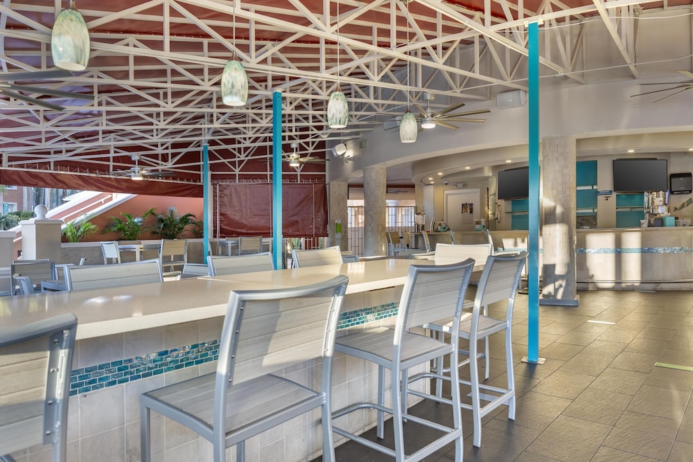 Hilton Grand Vacations Club SeaWorld® Orlando — Restaurant & bars in Orlando, Florida