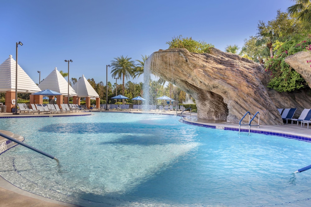 Hilton Grand Vacations Club SeaWorld® Orlando — Swimming pool in Orlando, Florida