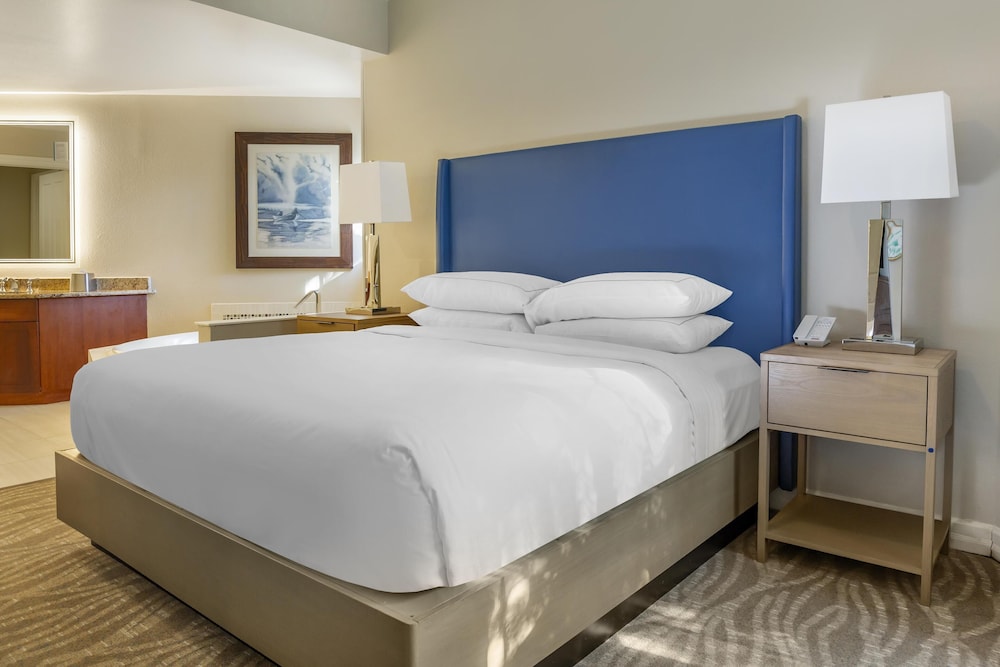 Hilton Grand Vacations Club SeaWorld® Orlando — Hotel rooms in Orlando, Florida