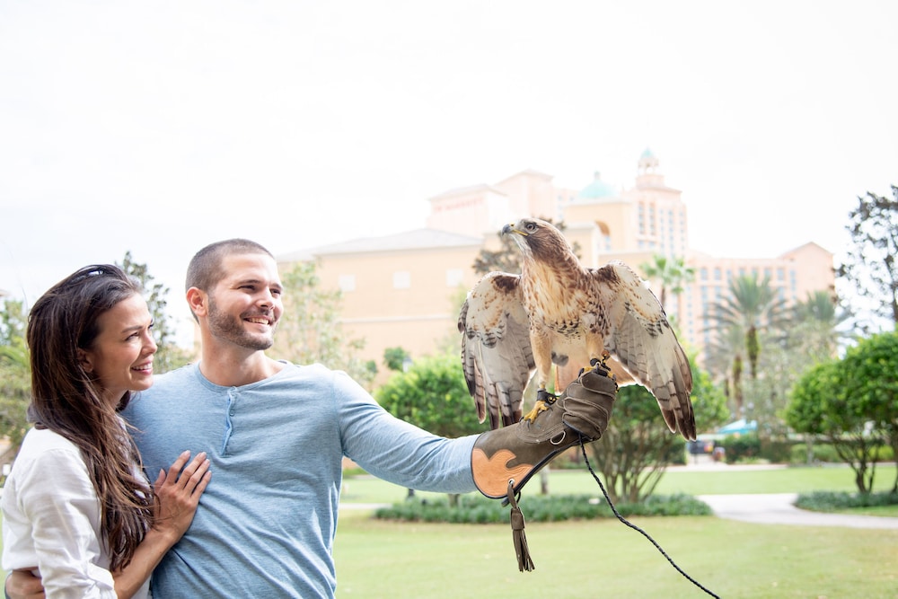 JW Marriott Orlando Grande Lakes — Sports & recreation in Orlando, Florida