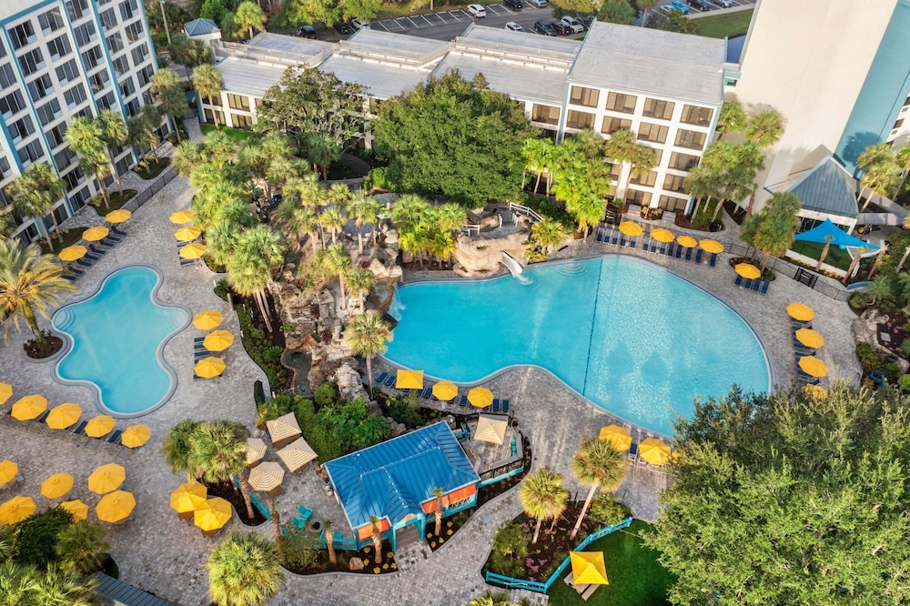 Delta Hotels by Marriott Orlando Celebration — Swimming pool in Kissimmee, Florida