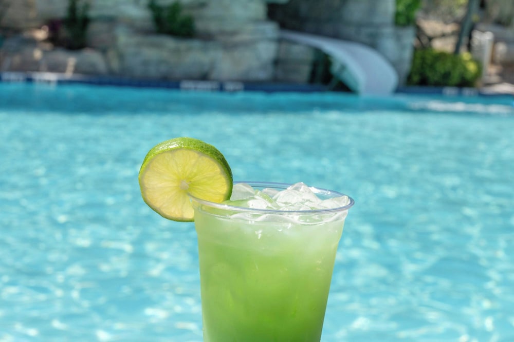 Delta Hotels by Marriott Orlando Celebration — Restaurant & bars in Kissimmee, Florida
