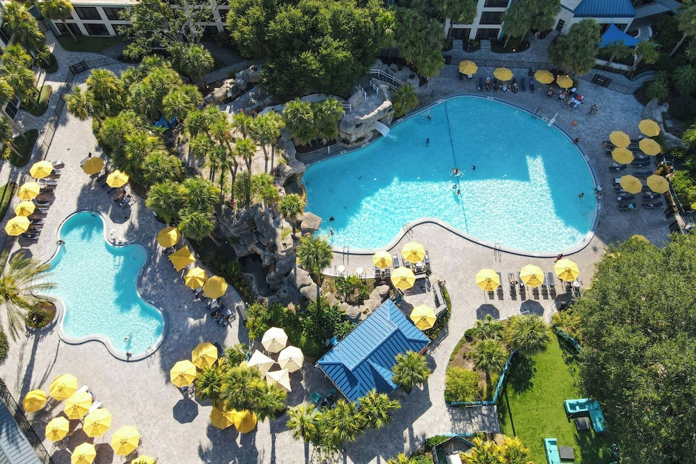 Delta Hotels by Marriott Orlando Celebration — Swimming pool in Kissimmee, Florida