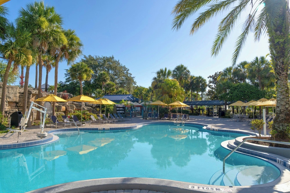 Delta Hotels by Marriott Orlando Celebration — Swimming pool in Kissimmee, Florida