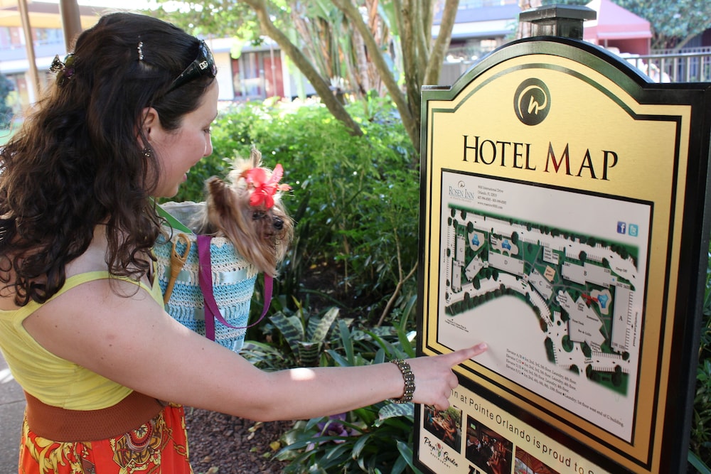 Rosen Inn at Pointe Orlando — Attractions in the area in Orlando, Florida