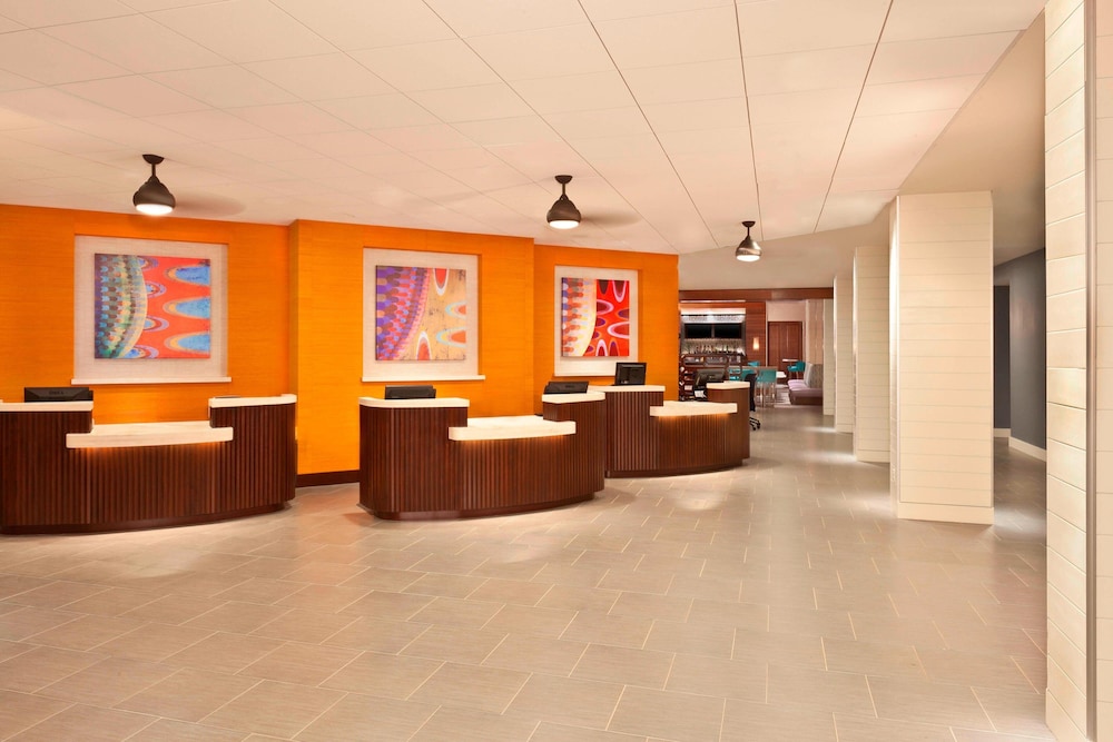 Sheraton Orlando Lake Buena Vista Resort - NEWLY RENOVATED! — Restaurant & bars in Orlando, Florida