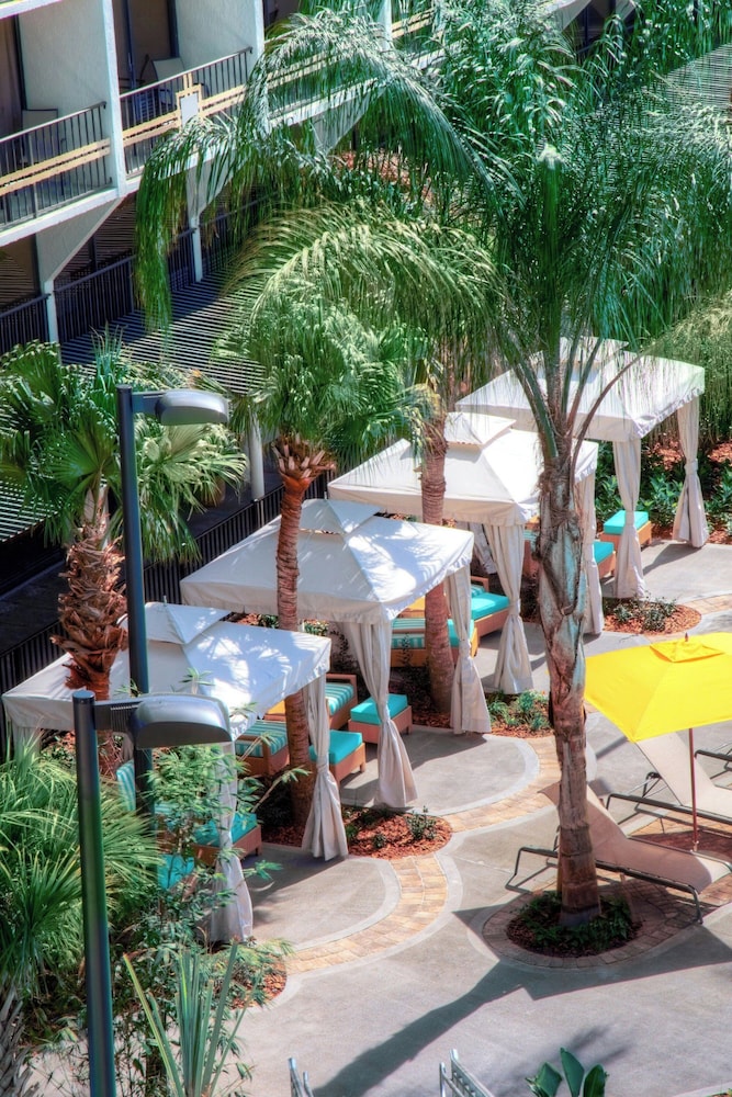 Sheraton Orlando Lake Buena Vista Resort - NEWLY RENOVATED! — Hotel building in Orlando, Florida