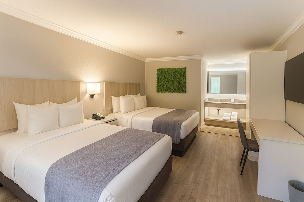 Orlando International Drive North Hotel — Hotel rooms in Orlando, Florida